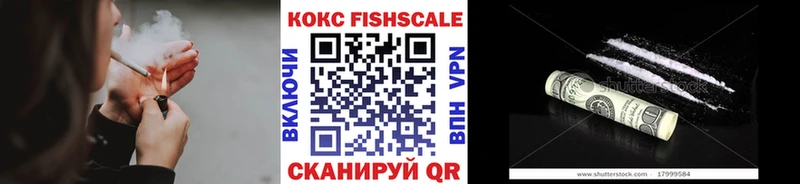 shop официальный сайт  Бугульма  COCAIN Fish Scale  где купить наркоту 