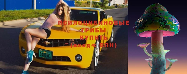 mdpv Белокуриха