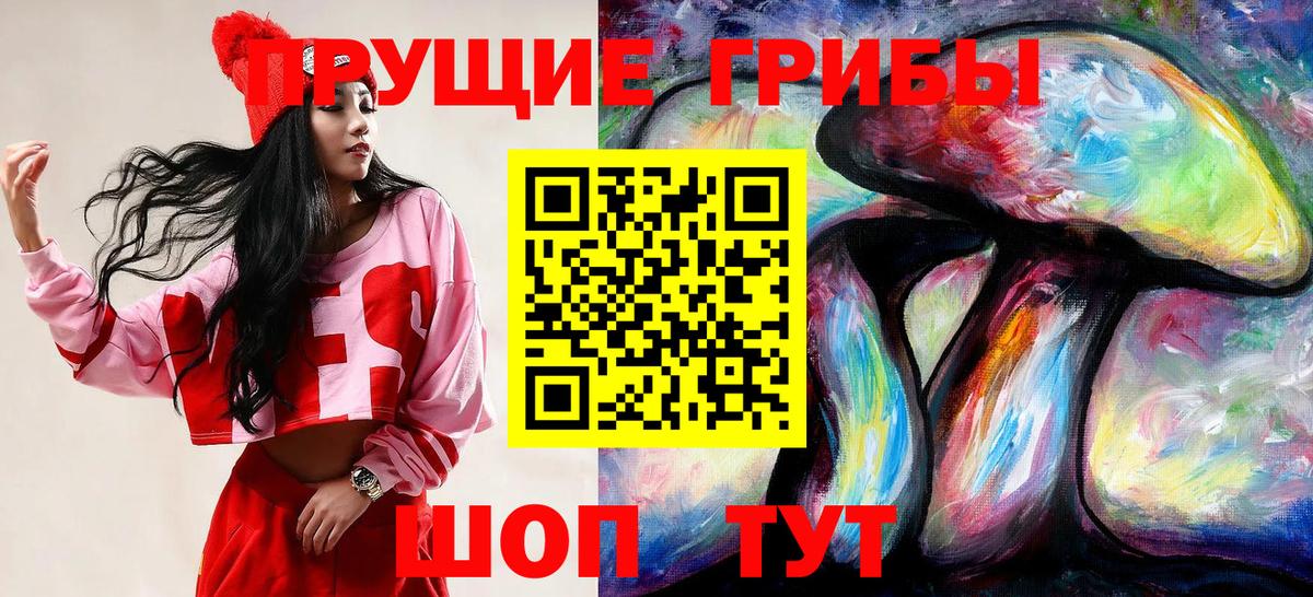 Псилоцибиновые грибы Psilocybe Бугульма