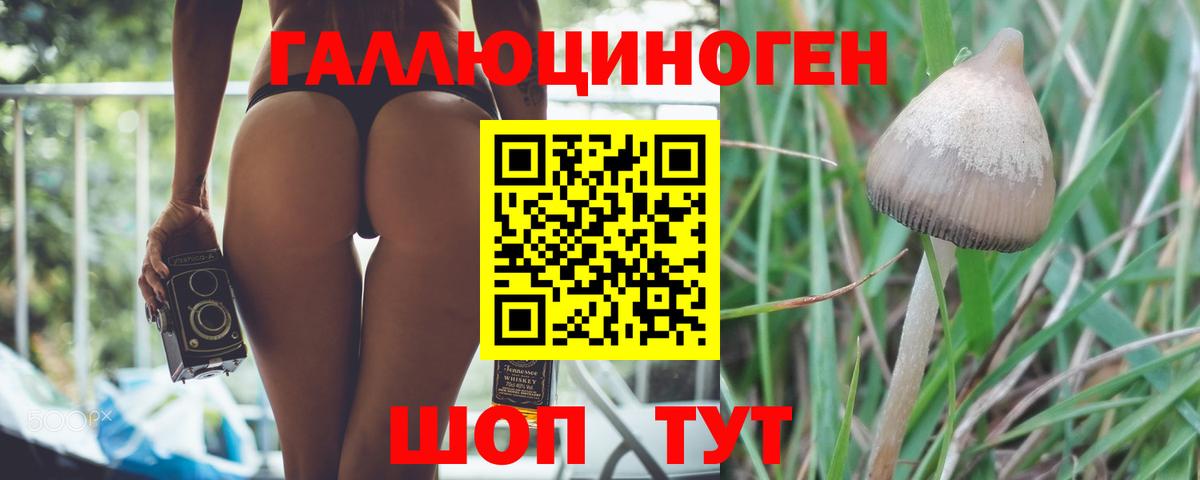 Псилоцибиновые грибы Psilocybine cubensis  Вход с VPN  Бугульма 